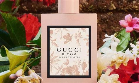 gucci bloom a que huele